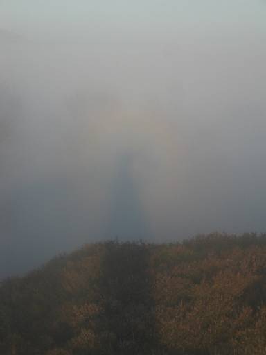 17_00-1.jpg - Not quite a Brockenspectre - its not swirling. But not every day you can see your shadow on mist.